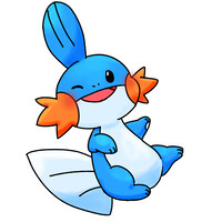Mudkip