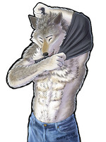 Male Wolf Abs 04 png