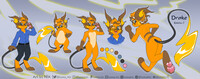 Drake the Raichu Ref sheet