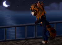 - Moonlight night - [Collab]