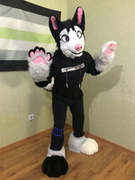 Sale Husky full partial!!