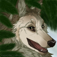 commission \\ Sójka