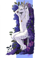 Purple garden