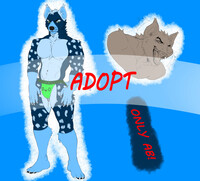 Adopt #16