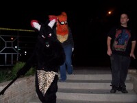 fursuit walk