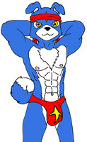 gaomon speedo model: ninja style