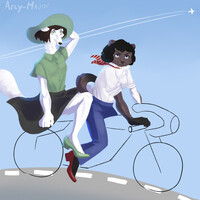 Extreme ride