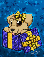 Gift Box - Fynn