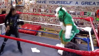 Superkick that Goat (GIF)