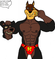 the "new" road rovers member