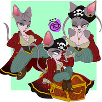 $in stream sketchpage pirate kitty