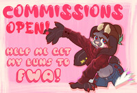 commission mission