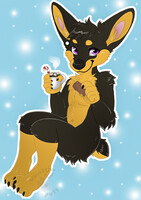 Sweet winter for Cup