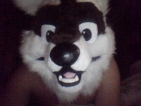 The Beginning of CrazyFox!!!!!