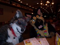 "We'll get Doggy Bags..." 