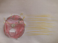 Chansey as Flash