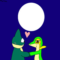 Under The Moon Light