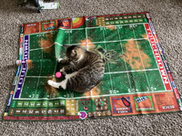 New pitch for Blood Bowl is Huge!