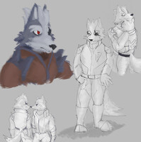 i love star fox adventures by spacenintendogs -- Fur Affinity [dot] net