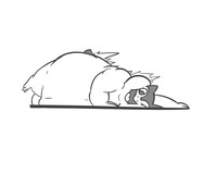 Chubby Typhlosion