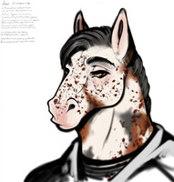 Alessander sketch head (OC)