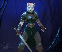 Mist Warrior. Donyakavetta 2
