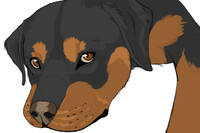 Simple Dog Headshot