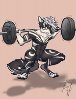 Commission #6