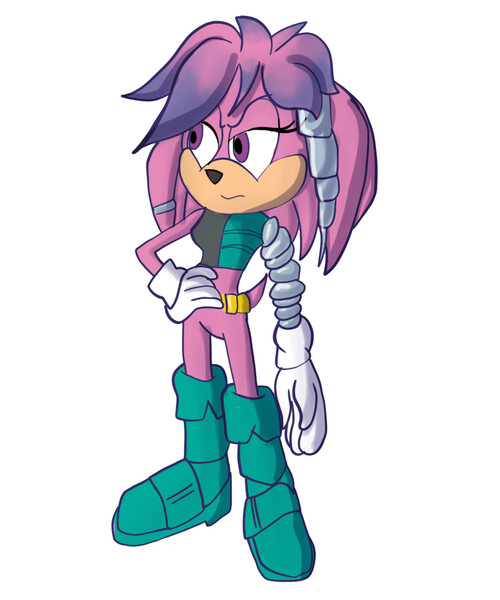 Lara-Su  Hedgehog art, Sonic fan characters, Sonic fan art