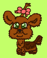 LPS 006 Yorkie my style