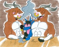 Smoking with the Bulls