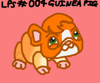 LPS 004 guinea pig