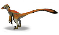 Unnamed Raptor