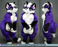 Dominique Digitigrade