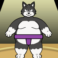 Me as a Sumo wrestler