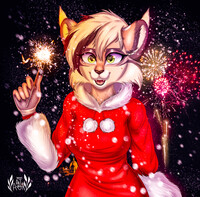 New Year's Eve fireworks:3