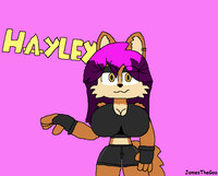 Hayley The Coyote