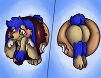 Ready donut ych (3/3)