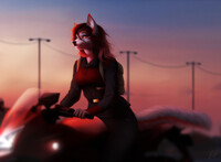 [NMA] Sunset ride - by rrrs