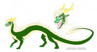 Riku and Itsuki's Dragon Form