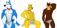 road rovers speedo model