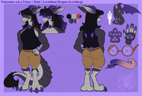 -NEW Tanzanite ref 4.0 (Clothed)-
