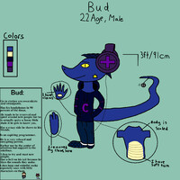 Bud Reference Sheet