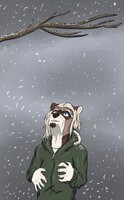 Snowy Raccoon