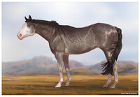 Horse adopt (Closed)