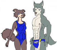 cherryton school wolf swim team