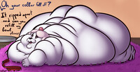 Soft Pet~