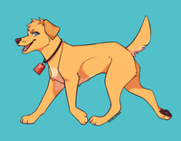 Kou Doggy