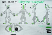 Riley's ref. sheet