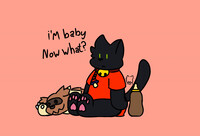 Baby Cat?
